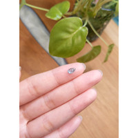 0.84 Ct. Blue Cabochon Sapphire from Montana Life Style