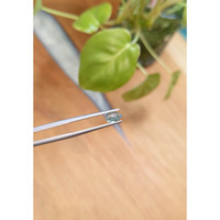 0.84 Ct. Blue Cabochon Sapphire from Montana Life Style