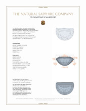 Jewelry 3 D Scan Report