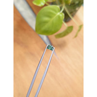 0.59 Ct. Green Sapphire from Montana Life Style