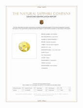 Jewelry Scan Report