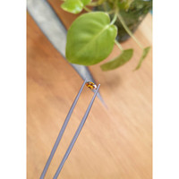 0.32 Ct. Bi Color Sapphire from Montana Life Style