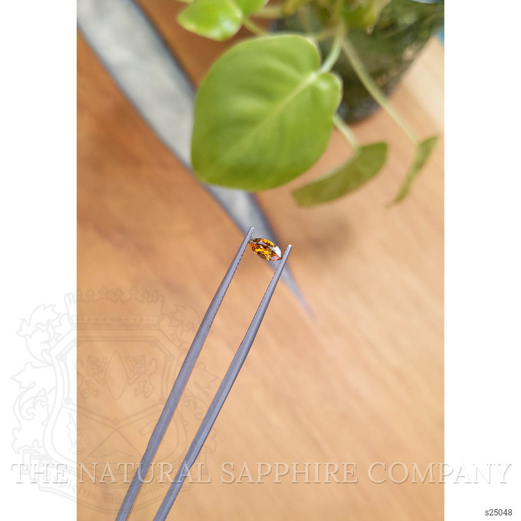 0.32 Ct. Bi Color Sapphire from Montana