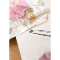 0.25 Ct. Sapphire from Montana Life Style