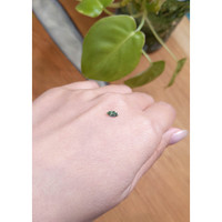0.25 Ct. Sapphire from Montana Life Style