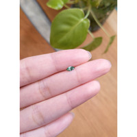 0.25 Ct. Sapphire from Montana Life Style