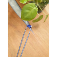 1.26 Ct. Blue Sapphire from Ceylon (Sri Lanka) Life Style