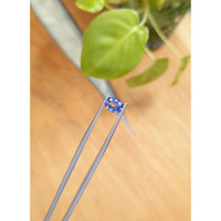 1.01 Ct. Blue Sapphire from Ceylon (Sri Lanka) Life Style