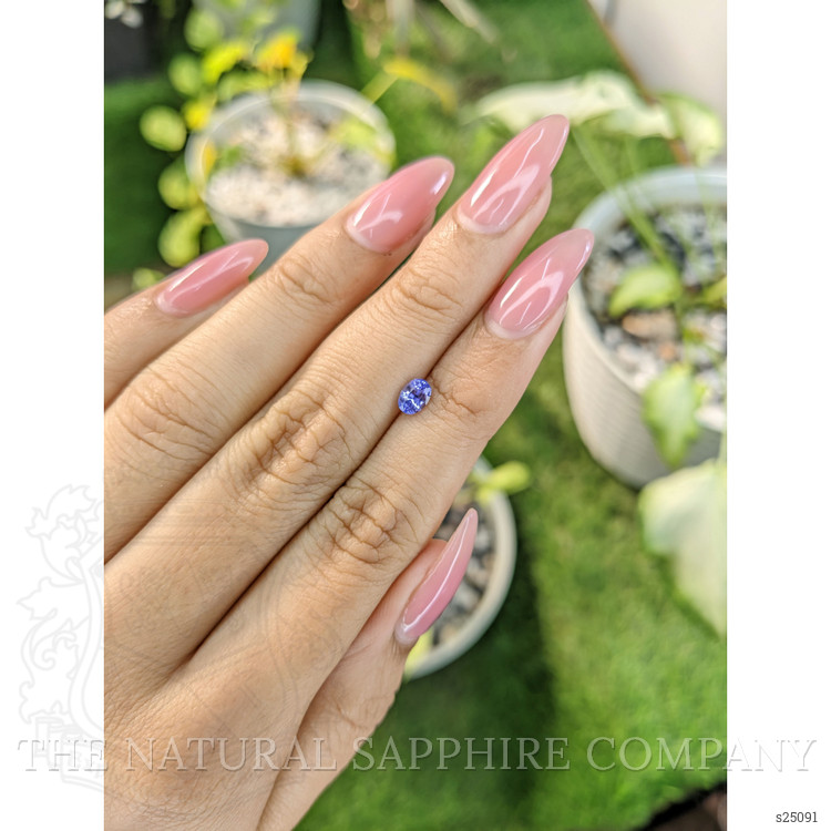 0.48 Ct. Violet Sapphire from Ceylon (Sri Lanka)