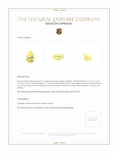 3.21 Ct. Yellow Sapphire from Ceylon (Sri Lanka) Appraisal