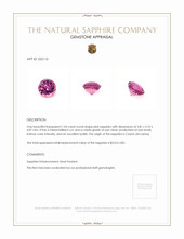 1.04 Ct. Sapphire from Ceylon (Sri Lanka) Appraisal