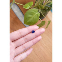 1.62 Ct. Blue Sapphire from Ceylon (Sri Lanka) Life Style