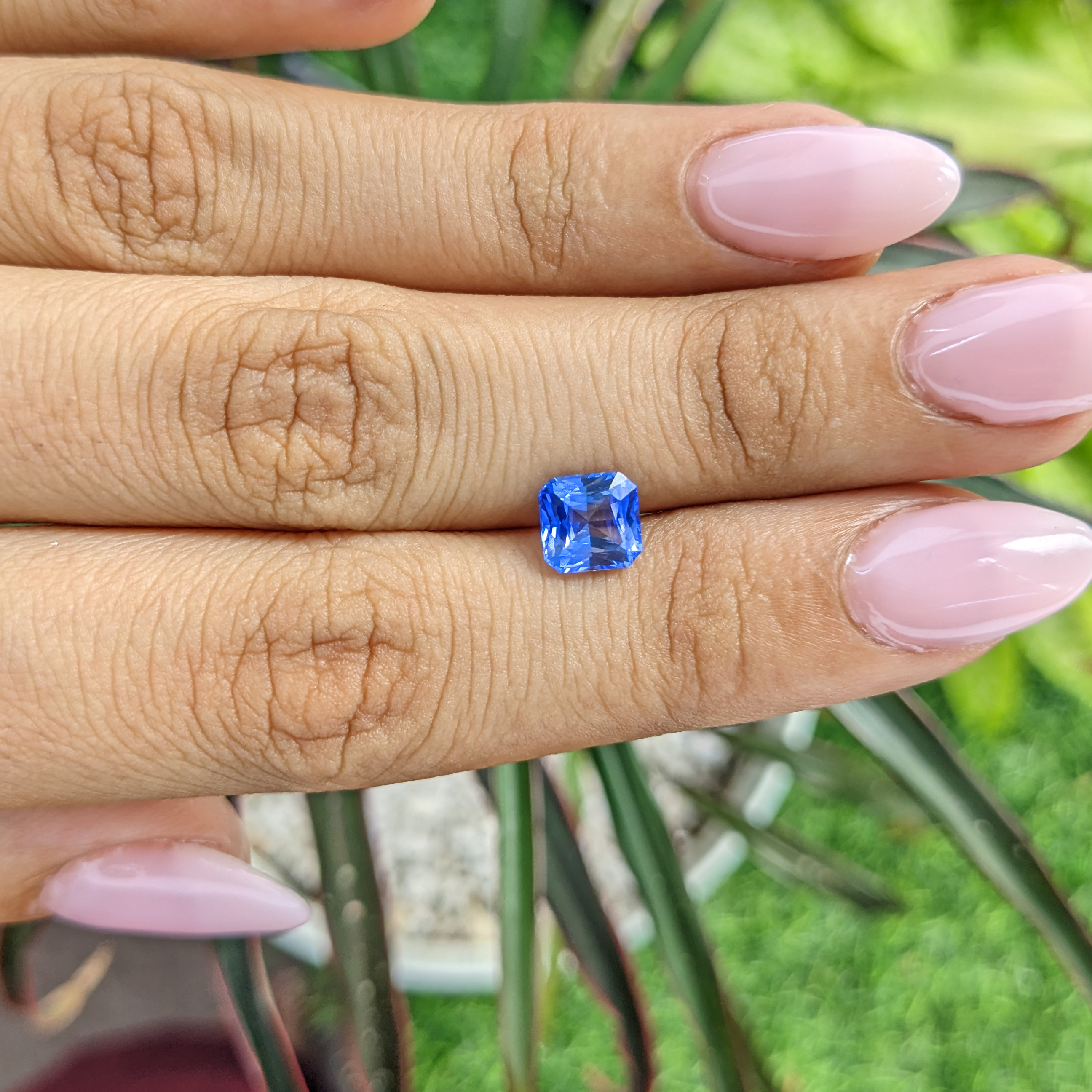 Loose Blue Sapphire - Radiant 1.66 Ct. - #S25147 | The Natural