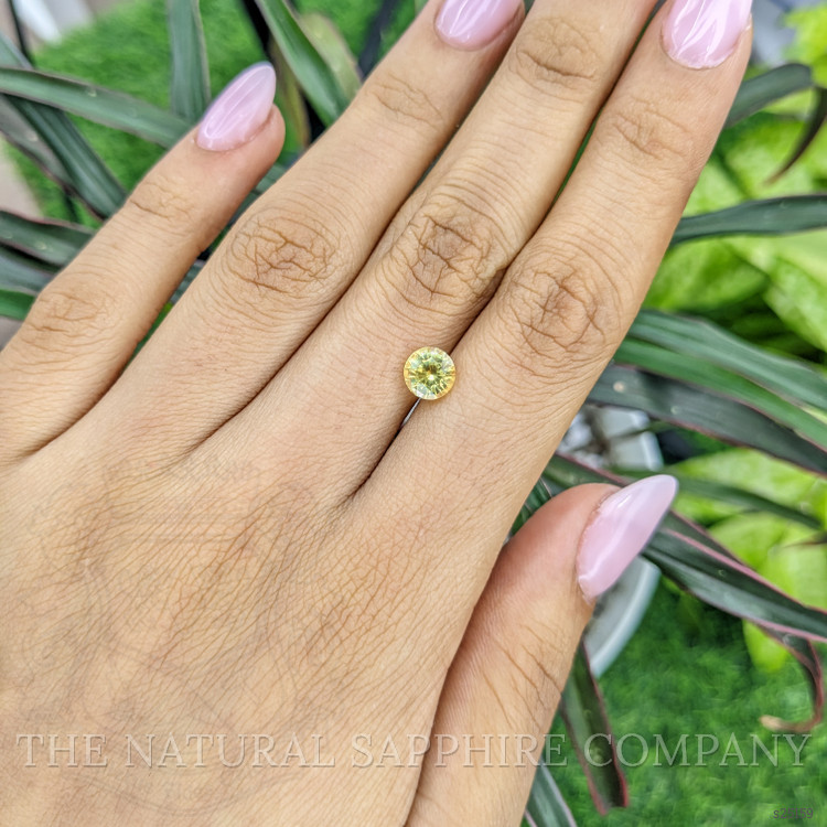 1.74 Ct. Yellow Sapphire from Ceylon (Sri Lanka)