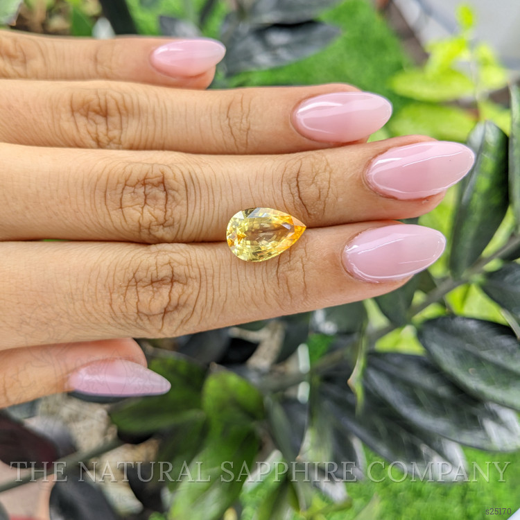 6.77 Ct. Yellow Sapphire from Ceylon (Sri Lanka)