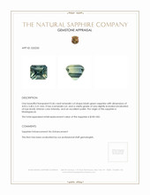 0.46 Ct. Bluish Green Sapphire from Madagascar Appraisal