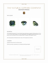 2.76 Ct. Bluish Green Sapphire from Africa Appraisal