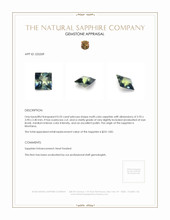 Jewelry Appraisal