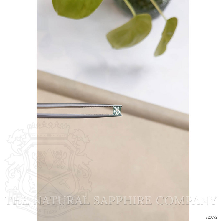 0.41 Ct. Yellowish Green Sapphire from Montana