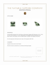 0.49 Ct. Green Sapphire from Montana Appraisal