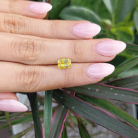 2.54 Ct. Yellow Sapphire from Ceylon (Sri Lanka) Life Style