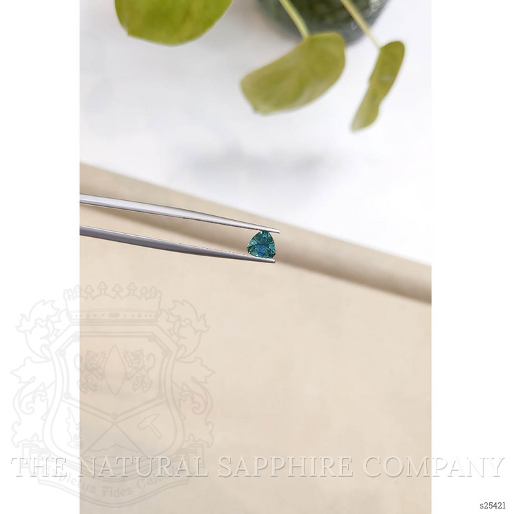 0.92 Ct. Bluish Green Sapphire from Montana