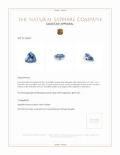 0.50 Ct. Blue Sapphire from Montana Appraisal