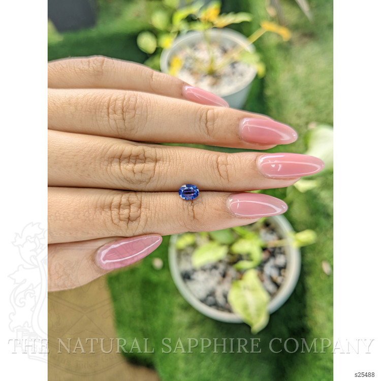 1.00 Ct. Blue Sapphire from Ceylon (Sri Lanka)