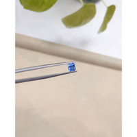 1.03 Ct. Blue Sapphire from Ceylon (Sri Lanka) Life Style