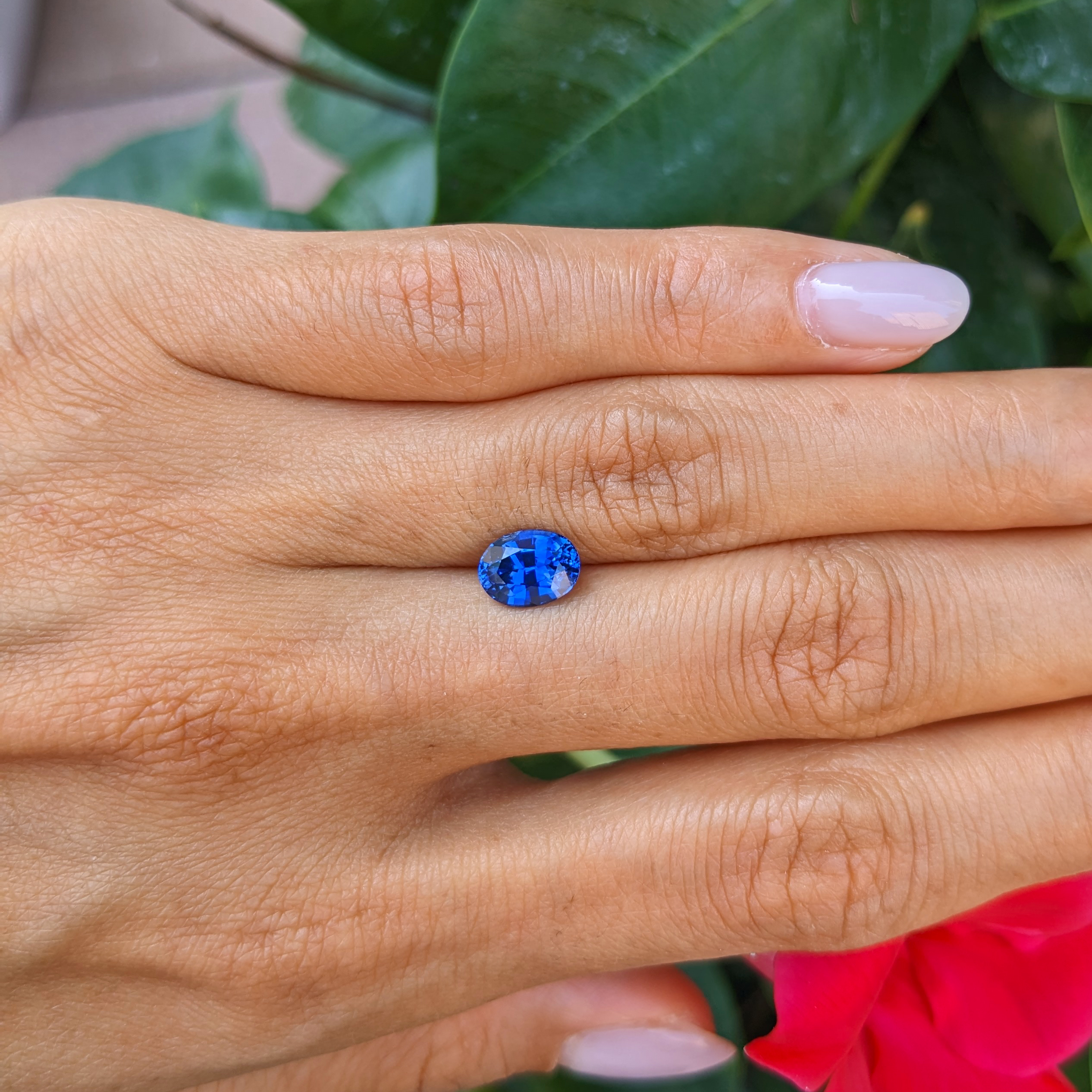 画材 Sapphire Genuine Fine Loose Blue Sapphire - Oval 1.71 Ct. - #S25522 | The Natural