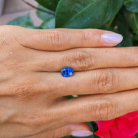 1.71 Ct. Blue Sapphire from Ceylon (Sri Lanka) Life Style