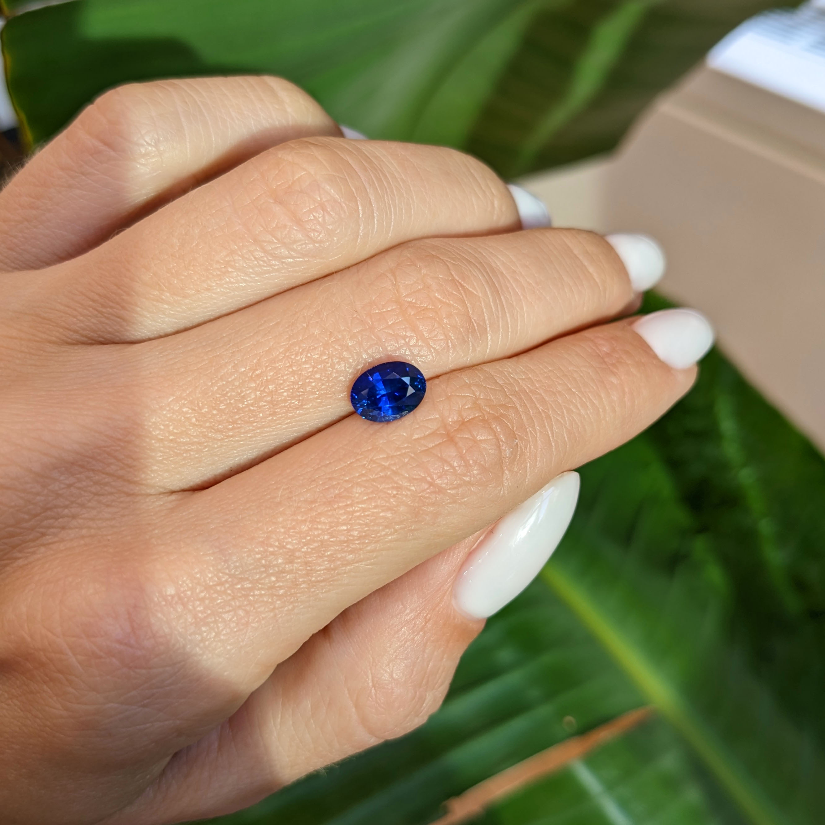 Loose Blue Sapphire - Oval 1.82 Ct. - #S25524 | The Natural