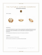 1.01 Ct. Padparadscha Sapphire from Madagascar Appraisal