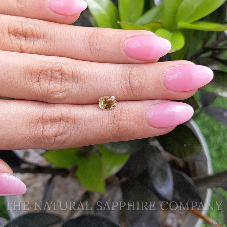 1.00 Ct. Greenish Brown Sapphire from Madagascar