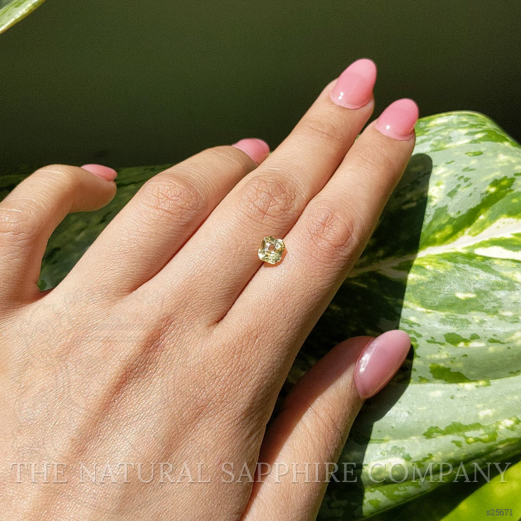 1.58 Ct. Yellow Sapphire from Ceylon (Sri Lanka)