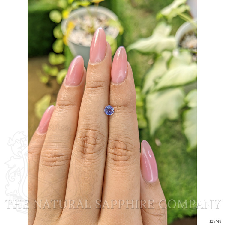 0.44 Ct. Bluish Purple Sapphire from Ceylon (Sri Lanka)