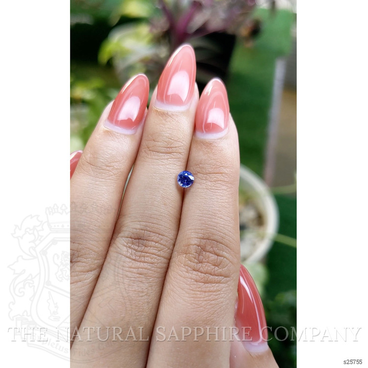 0.51 Ct. Blue Sapphire from Ceylon (Sri Lanka)
