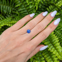 1.55 Ct. Blue Sapphire from Ceylon (Sri Lanka) Life Style