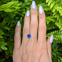 1.37 Ct. Blue Sapphire from Ceylon (Sri Lanka) Life Style