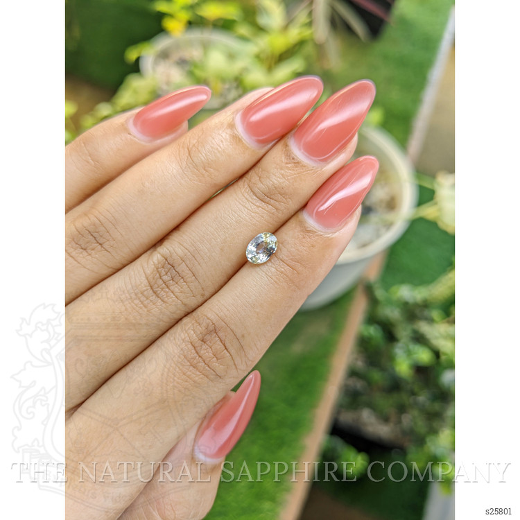 1.00 Ct. Bi Color Sapphire from Ceylon (Sri Lanka)