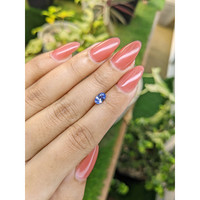 0.85 Ct. Blue Sapphire from Ceylon (Sri Lanka) Life Style