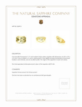 1.27 Ct. Yellow Sapphire from Ceylon (Sri Lanka) Appraisal