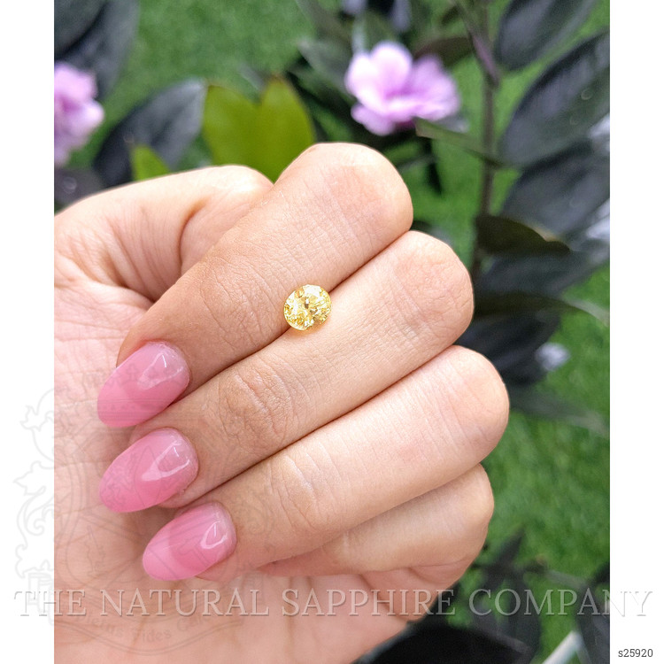 1.71 Ct. Yellow Sapphire from Ceylon (Sri Lanka)