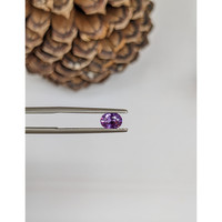 0.66 Ct. Pinkish Purple Sapphire from Ceylon (Sri Lanka) Life Style