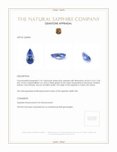 1.01 Ct. Blue Sapphire from Ceylon (Sri Lanka) Appraisal