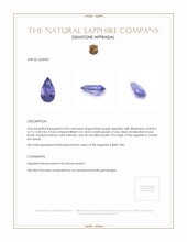 0.94 Ct. Bluish Purple Sapphire from Ceylon (Sri Lanka) Appraisal