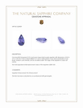 0.94 Ct. Bluish Purple Sapphire from Ceylon (Sri Lanka) Appraisal