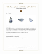 Jewelry Appraisal