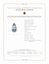 Jewelry Scan Report