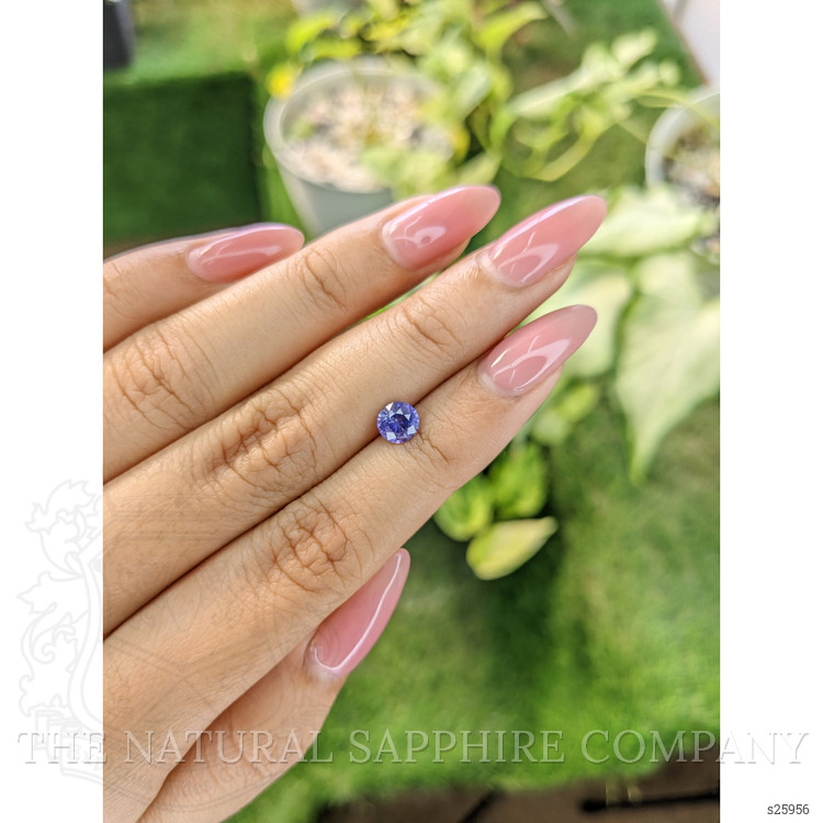 0.84 Ct. Violet Sapphire from Ceylon (Sri Lanka)